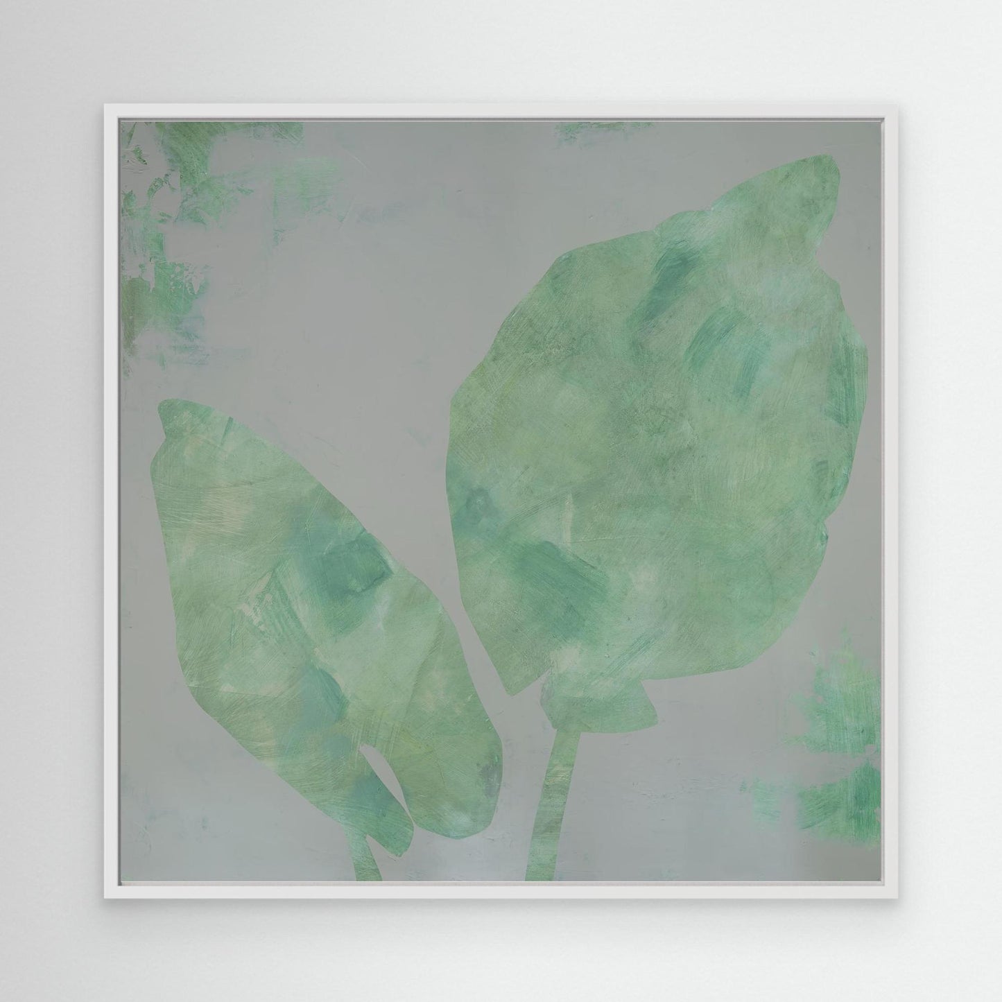 "Orejas de Elefante"