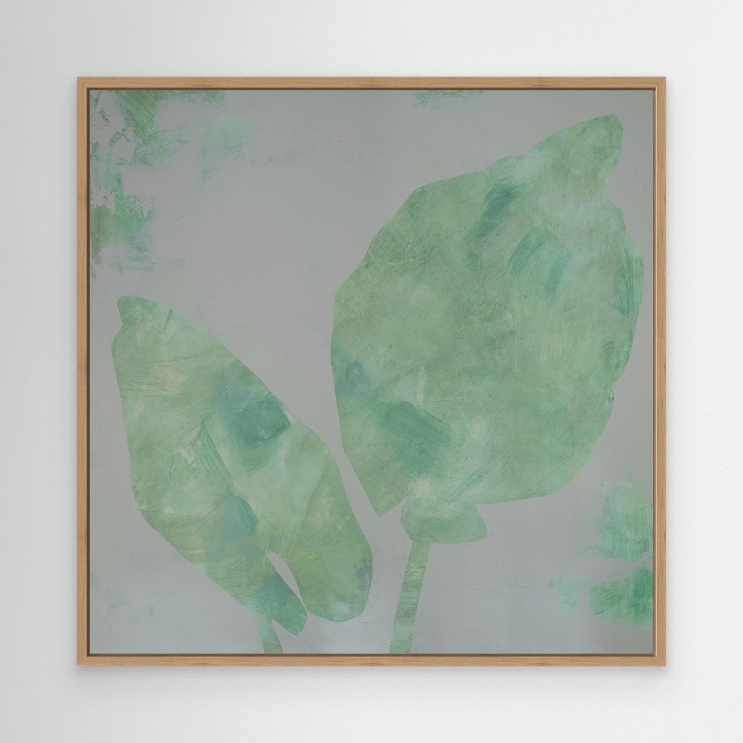 "Orejas de Elefante"