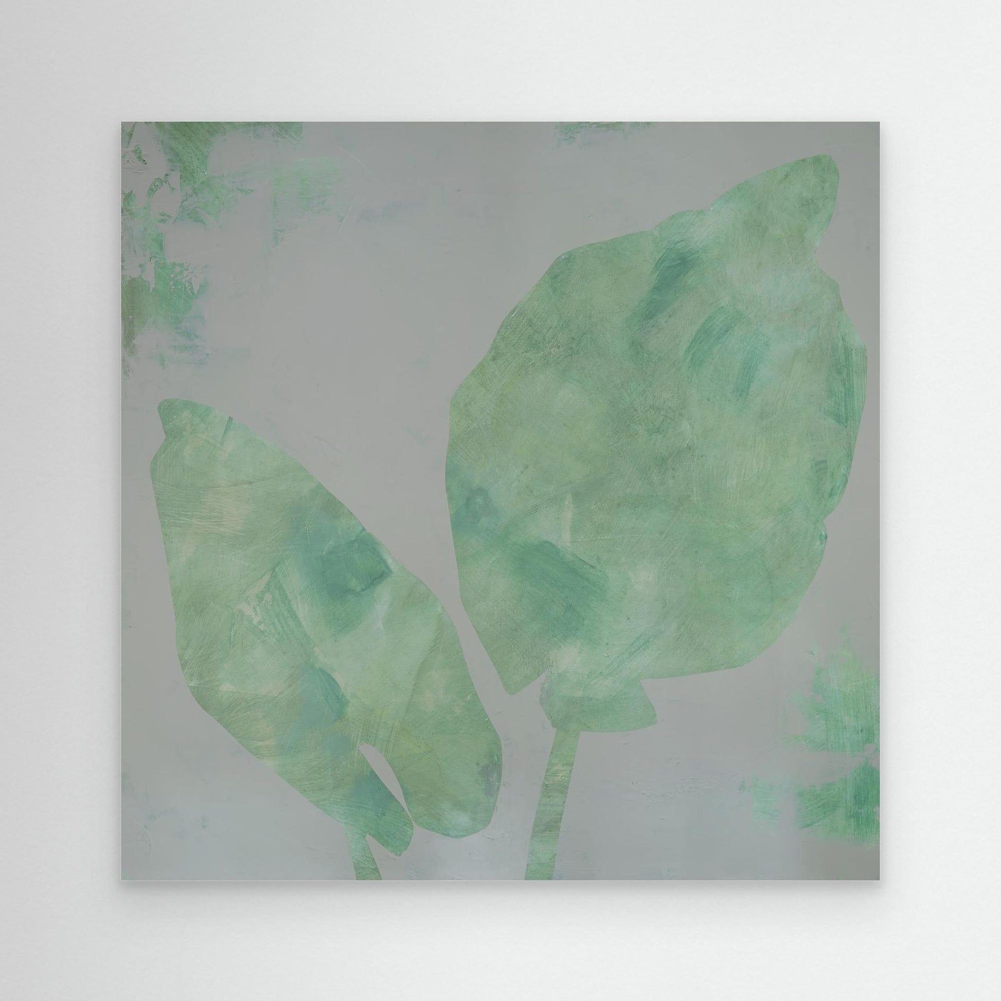 "Orejas de Elefante"